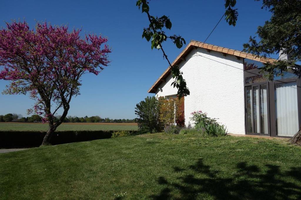 A Proximite Du Futuroscope Et Des Marais Poitevin Villa Rouille Kültér fotó